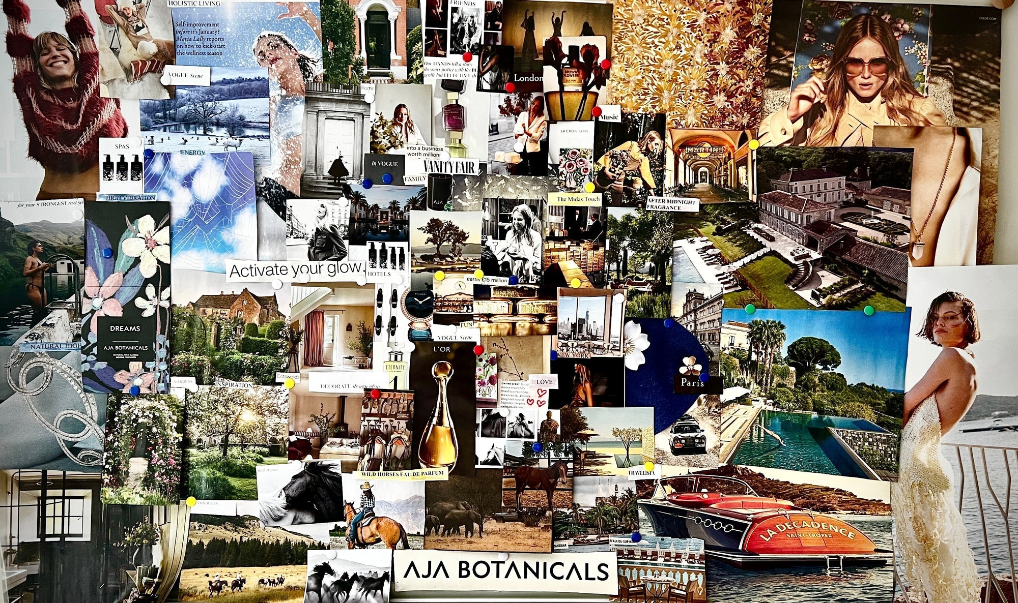 Manifest Your Dreams: Vision Boards and Meditation with Aja Botanicals