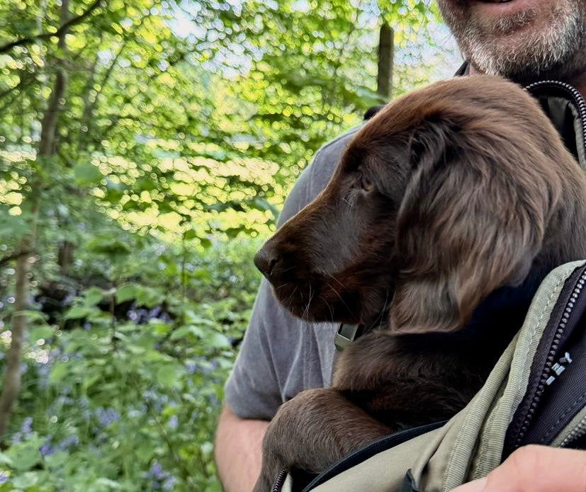 Tilly Loves: The May Edit 🌿🌸
