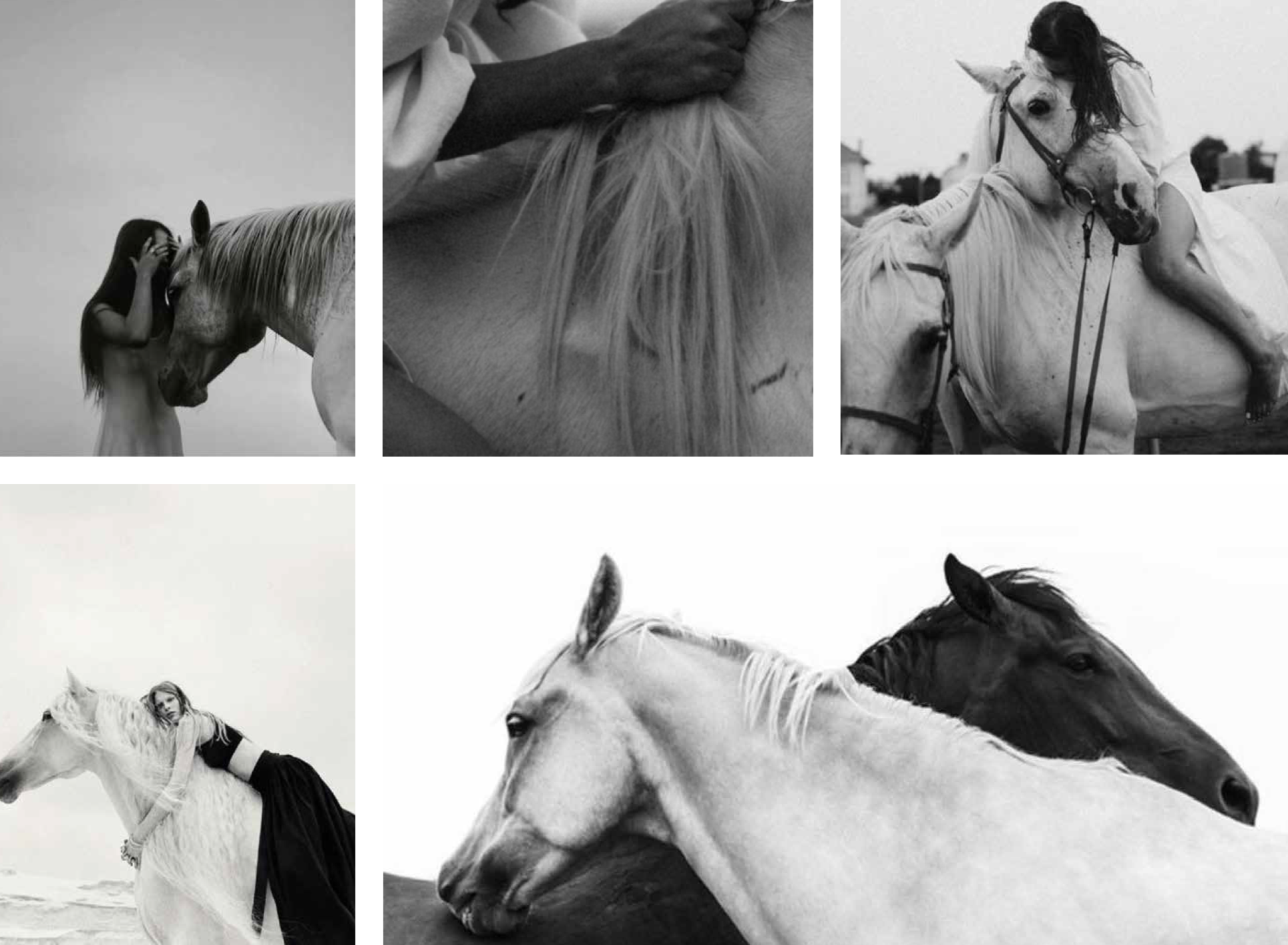 Wild Horses: Limited Edition Eau De Parfum